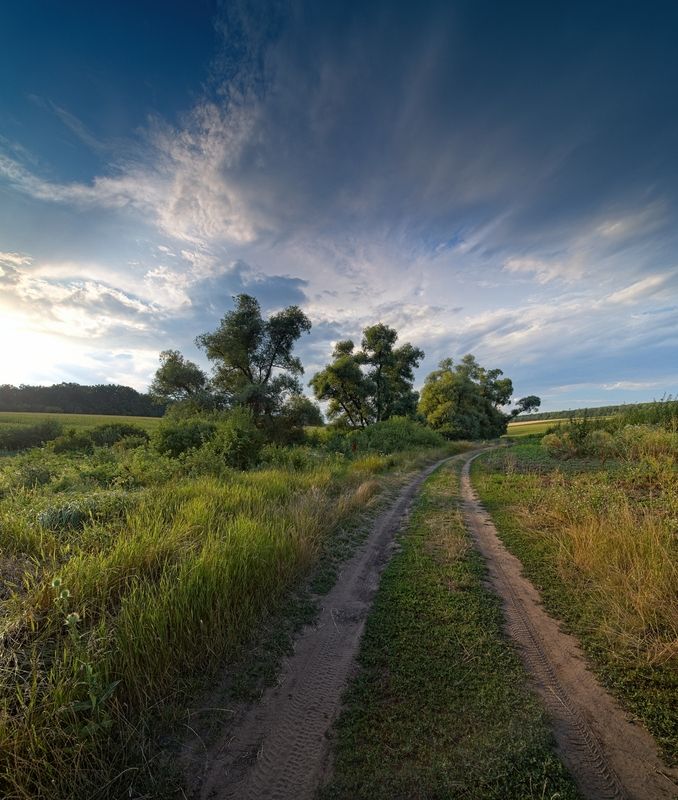 Дорожка фото превью