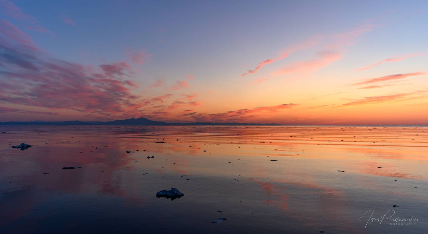 , Игорь Приданников