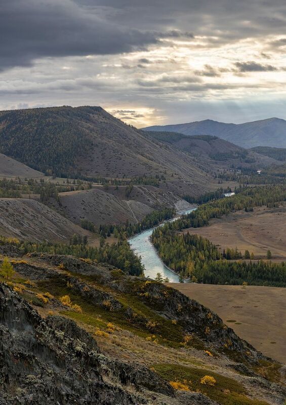 алтай, россия, altay, russia Алтайское утро фото превью