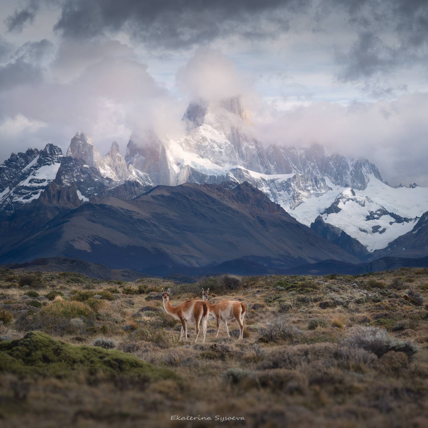 , Екатерина Сысоева