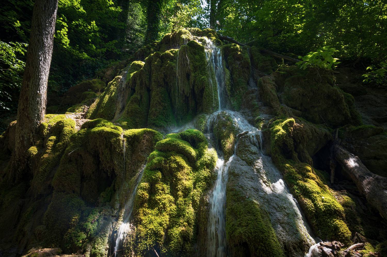 , Сергей Тихомиров