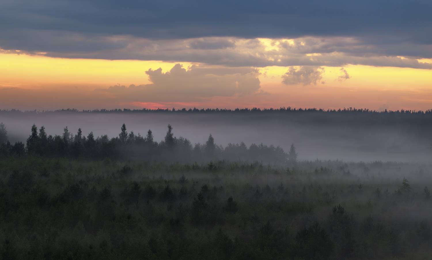 туман закат подмосковье, Игорь Юркин