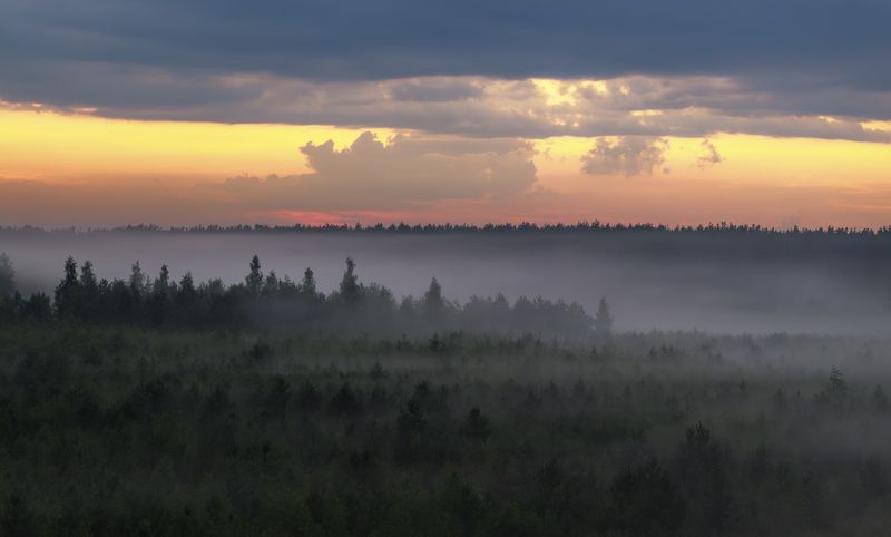 Подмосковные вечера фото превью