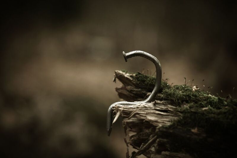 природа, лес, гвоздь, гвозди Одиночество фото превью