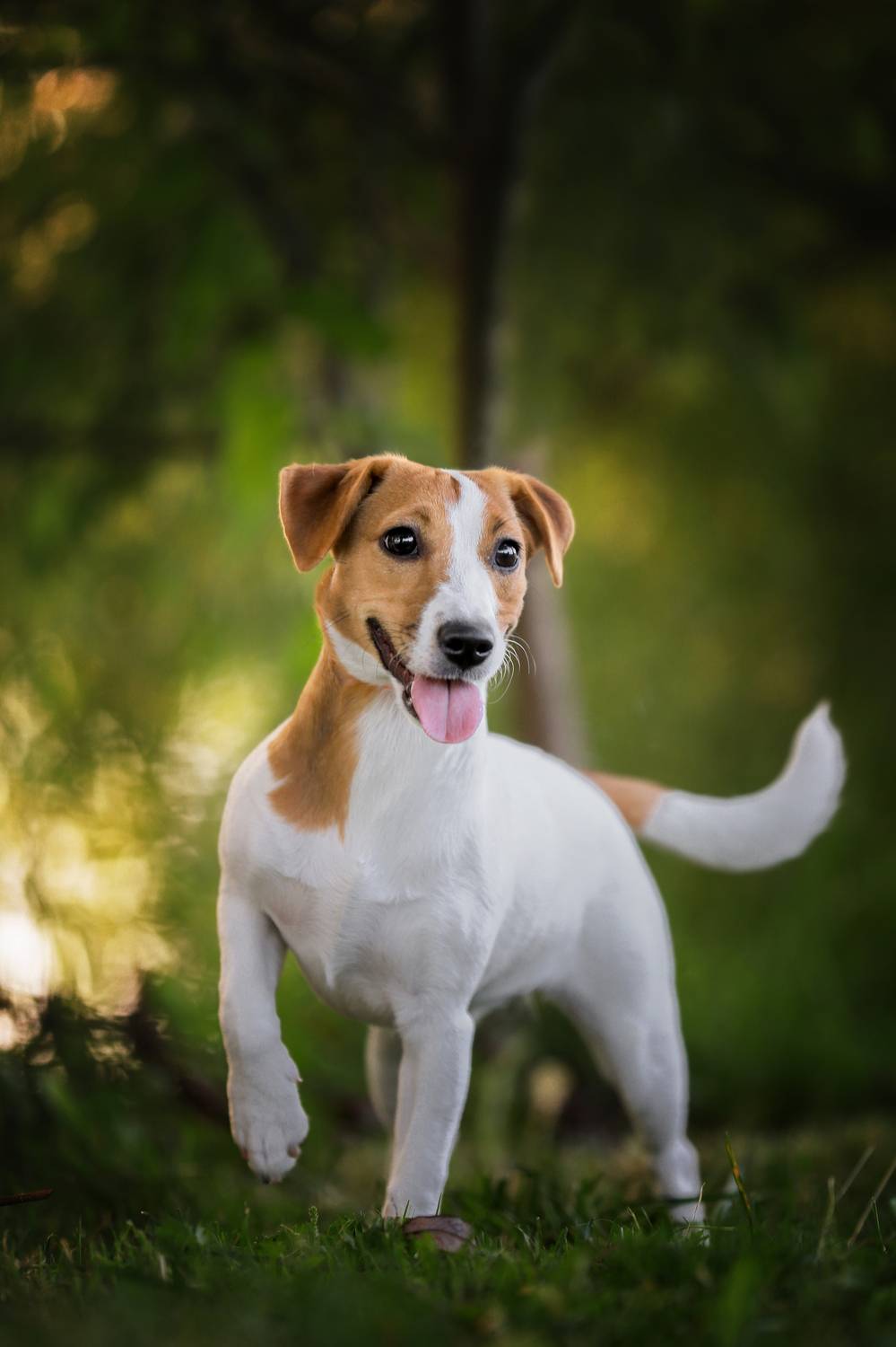 , Андрей Ершов