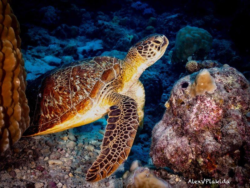 На старт.. Внимание... фото превью