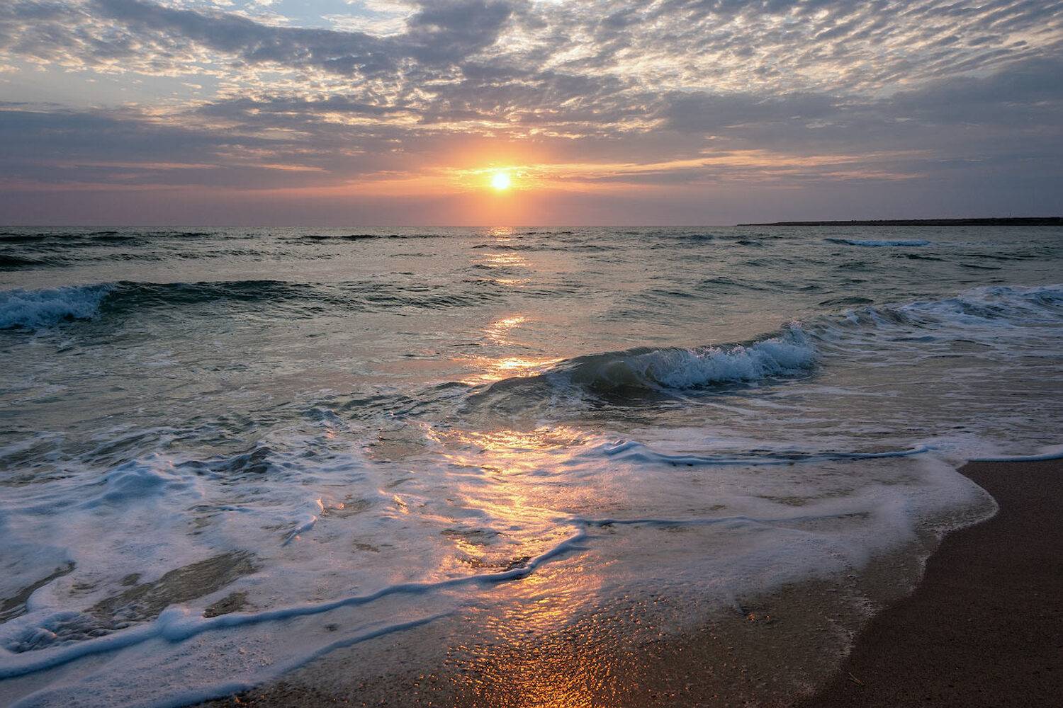 , Андрей Гусаченко