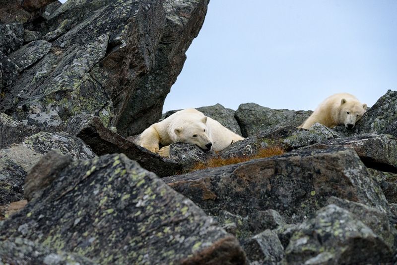 Сиеста фото превью