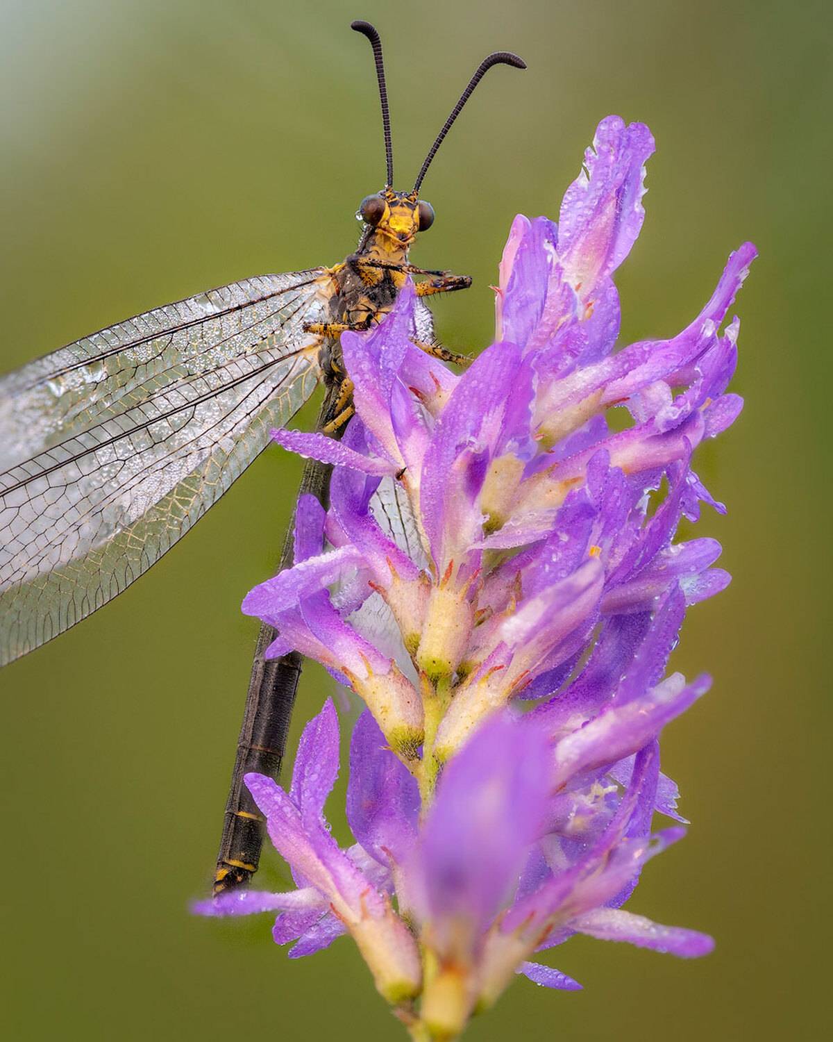 , Сергей Брагин