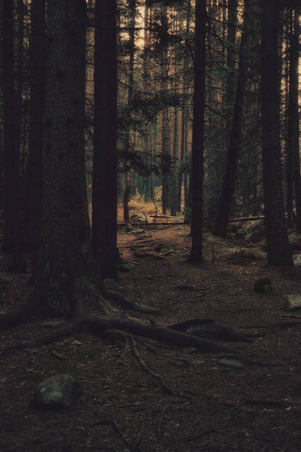 , Юлияна Стоянова