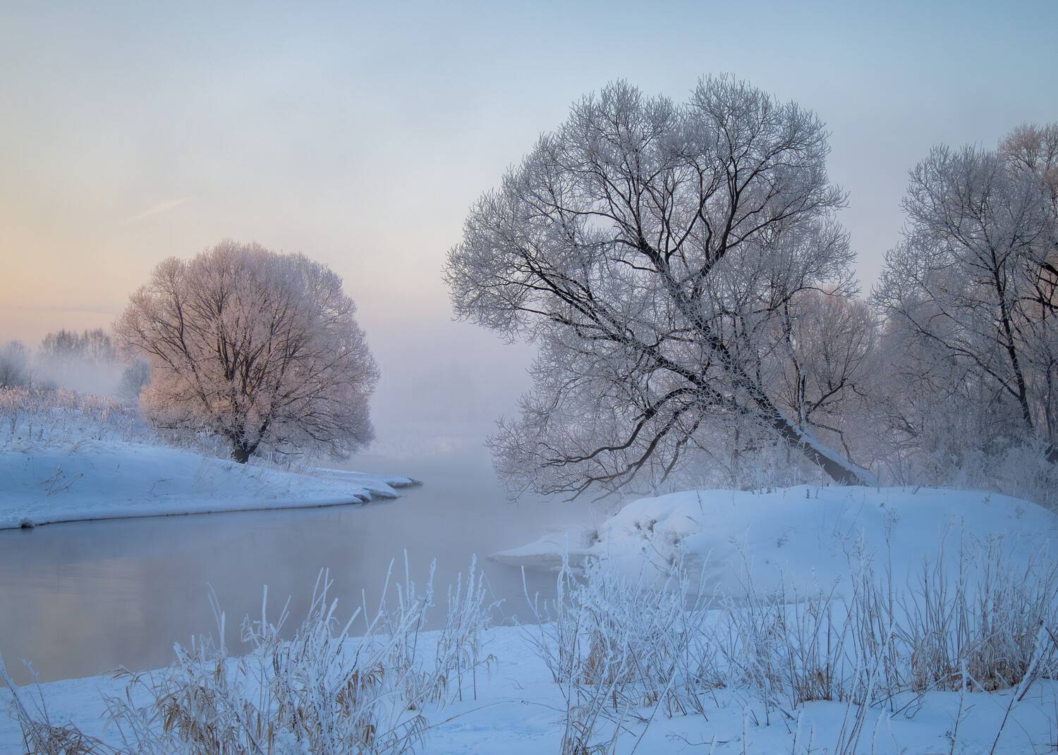 река истра, мороз, иней, Медведев Александр