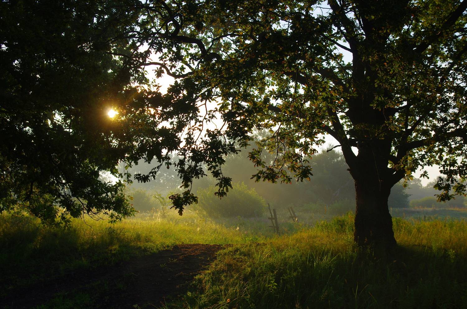 , Шляга Сергей