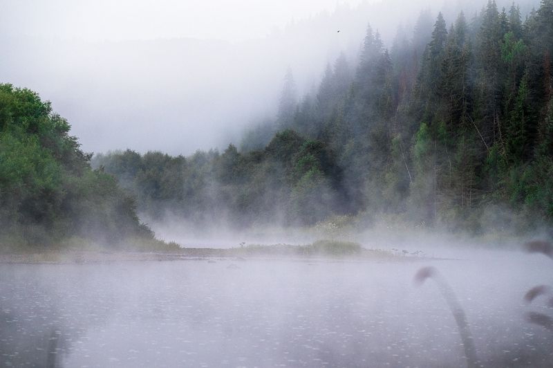 пермский край, пейзаж, рассвет, красота природы, туман, лес,  природа, дикая природа, койва, утро, кусье-александровский Утренний туман фото превью