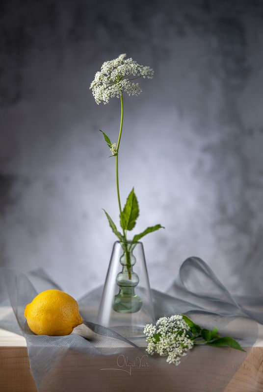 цветы, лето, стекло, лимон Лето фото превью