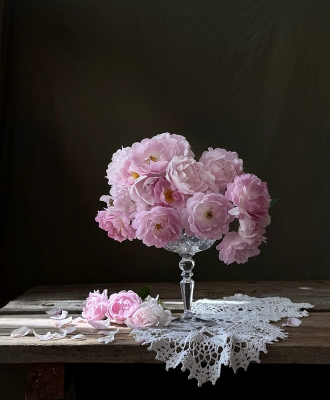 Розы фото превью