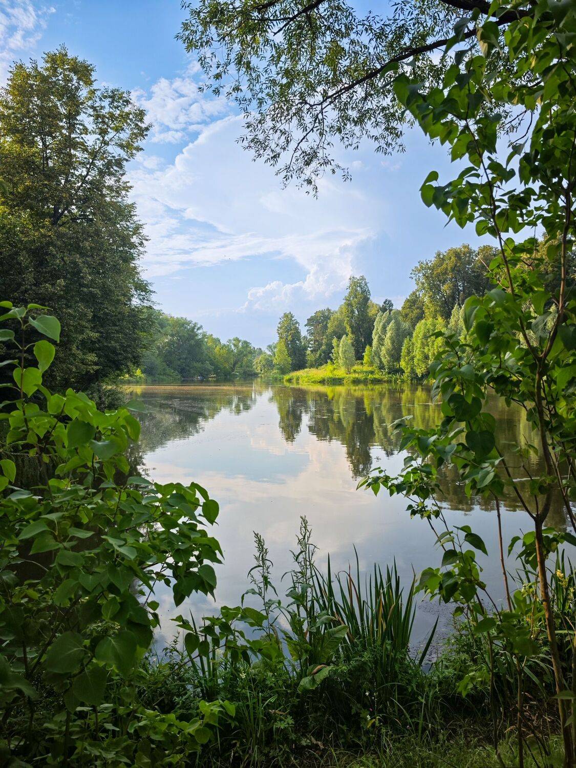 , Alexandr Myasnikov
