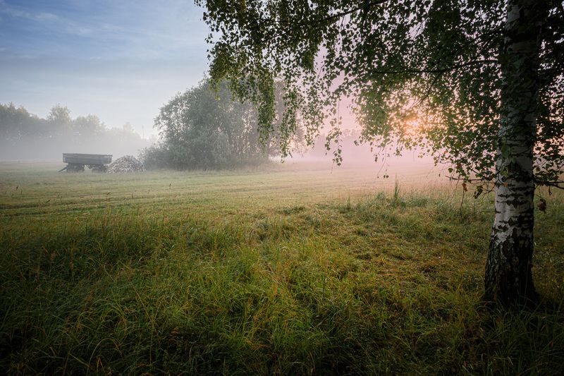 лето туман Торбеево Утро... фото превью