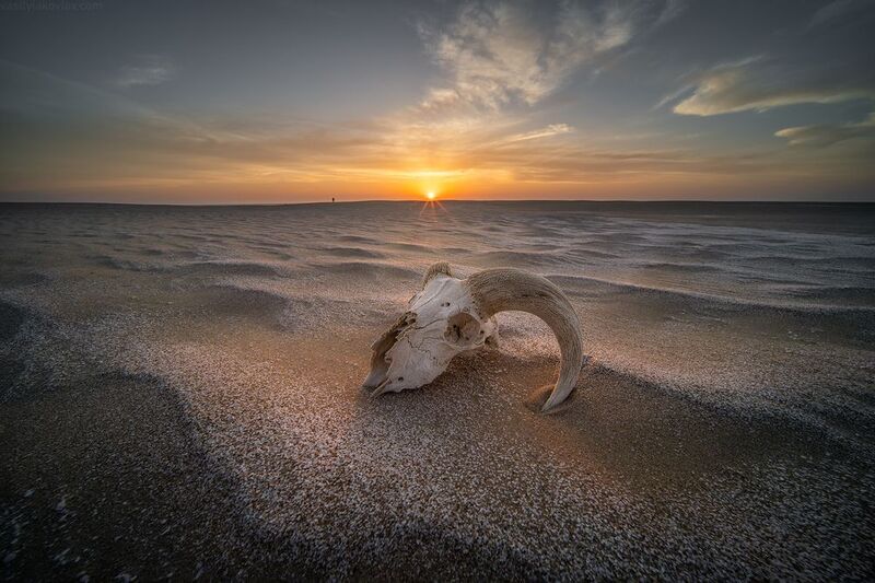 казахстан, фототур, яковлевфототур, мангистау, мангышлак, айракты, босжира, устюрт, карынжарык, тузбаир, торыш, туйесу, сенек Мангистау фото превью