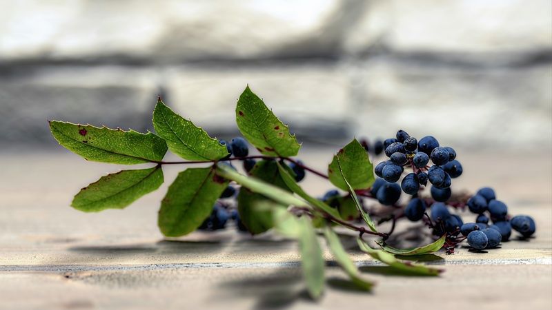 Натюрморт  И как же назвать  фото превью