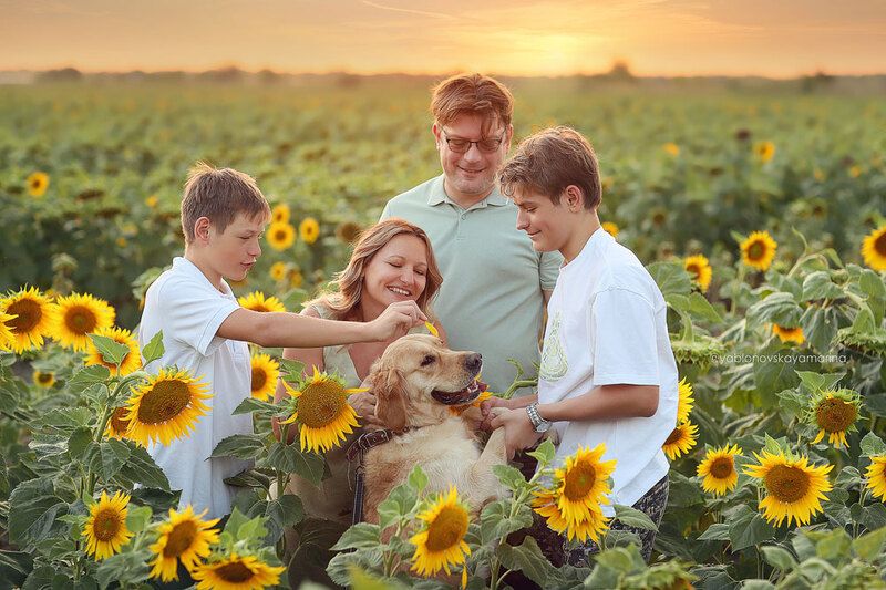 Летние вечера! фото превью