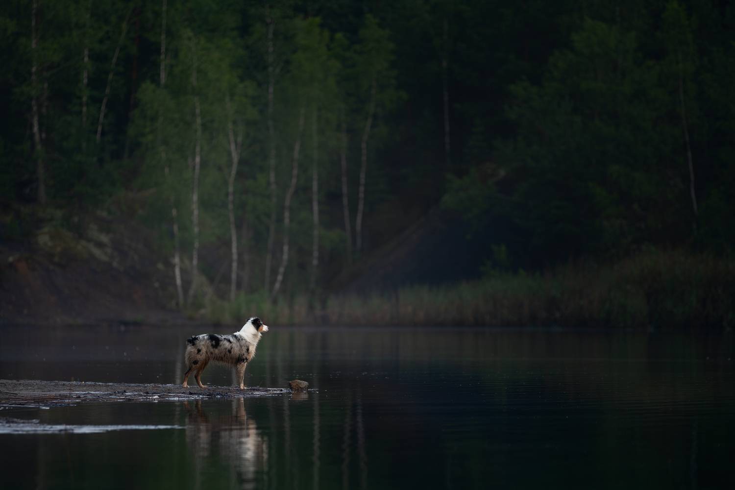 , Мария Шерскова