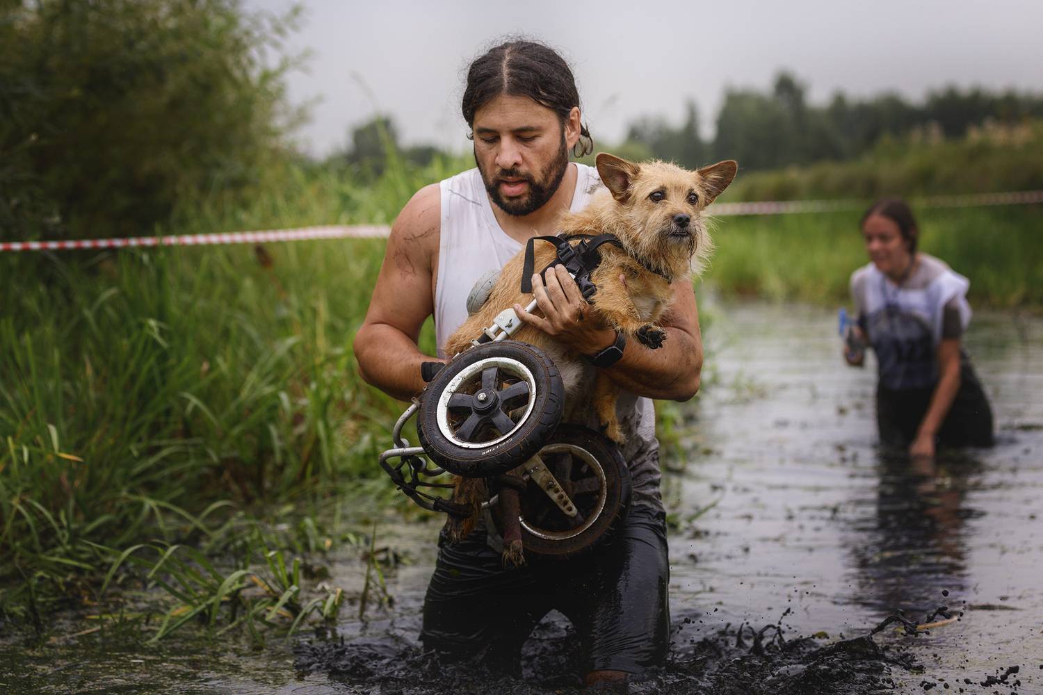 , Мария Шерскова