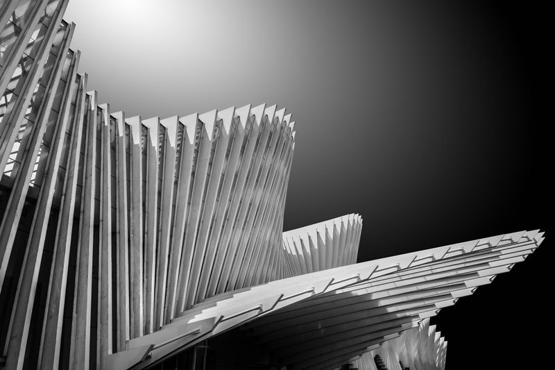 Wings of Light and Steel фото превью