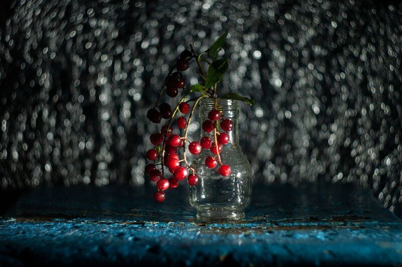 гелиос 44 Черемуха фото превью