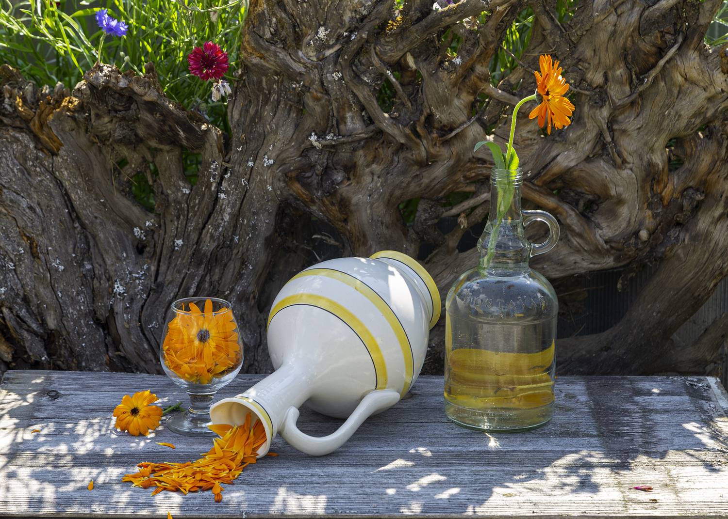 натюрморт., Анкудинов Леонид