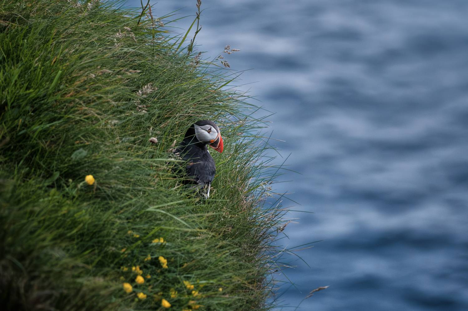, Георгий Бычковский