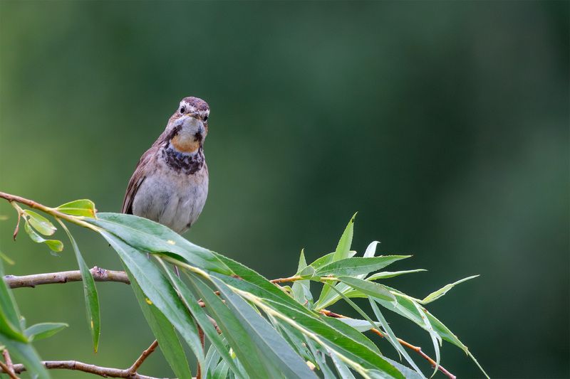 Ты меня снимаешь? фото превью