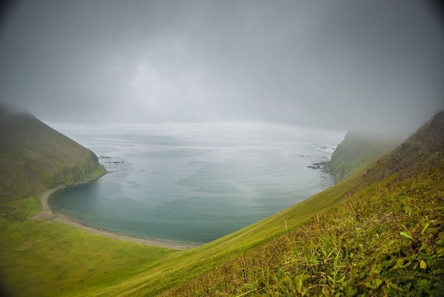 командорские острова, Виталий Филючков