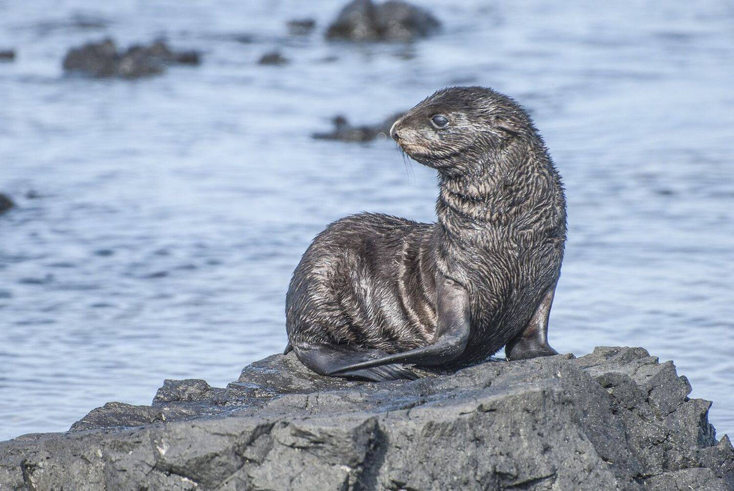 , Виталий Филючков