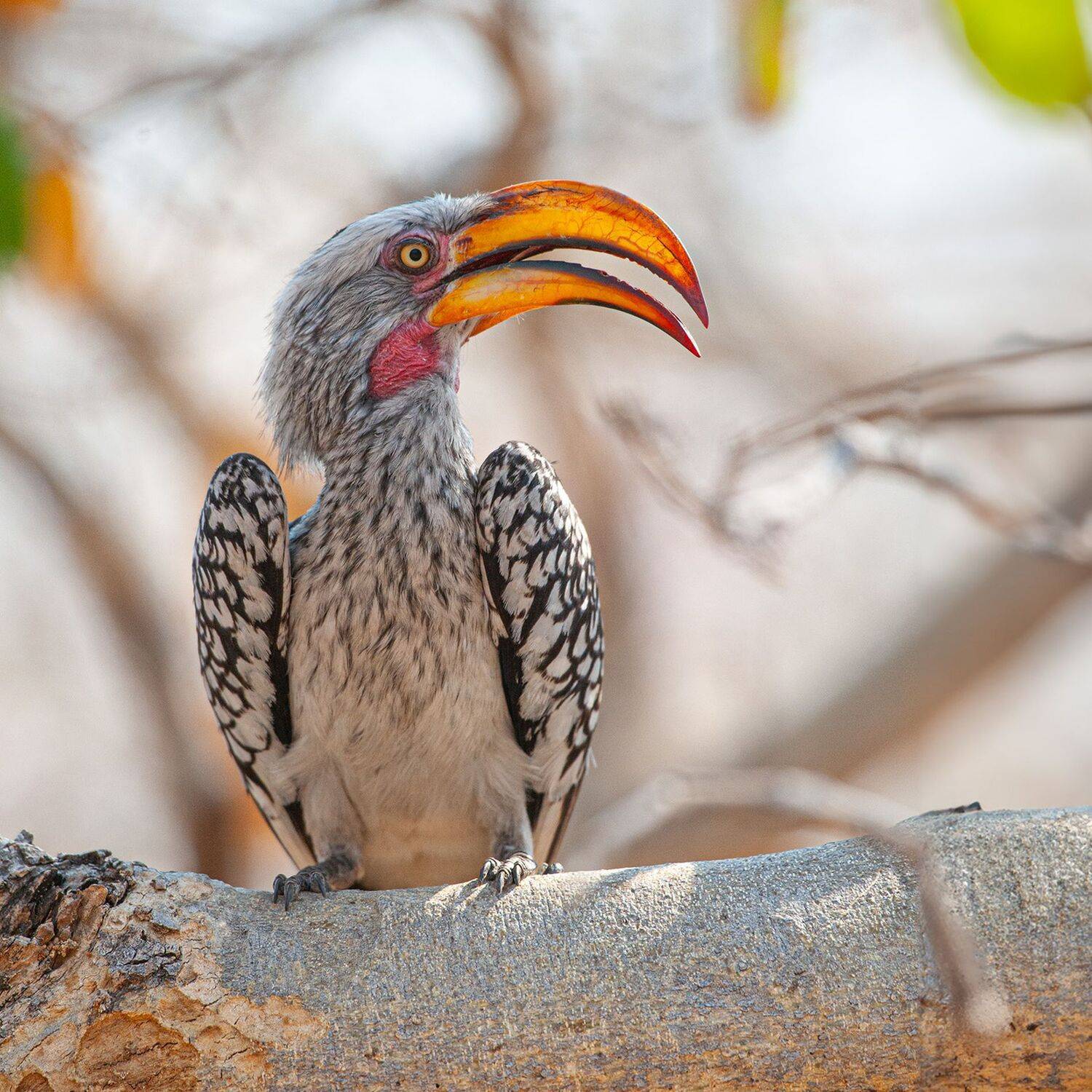 , Виталий Филючков