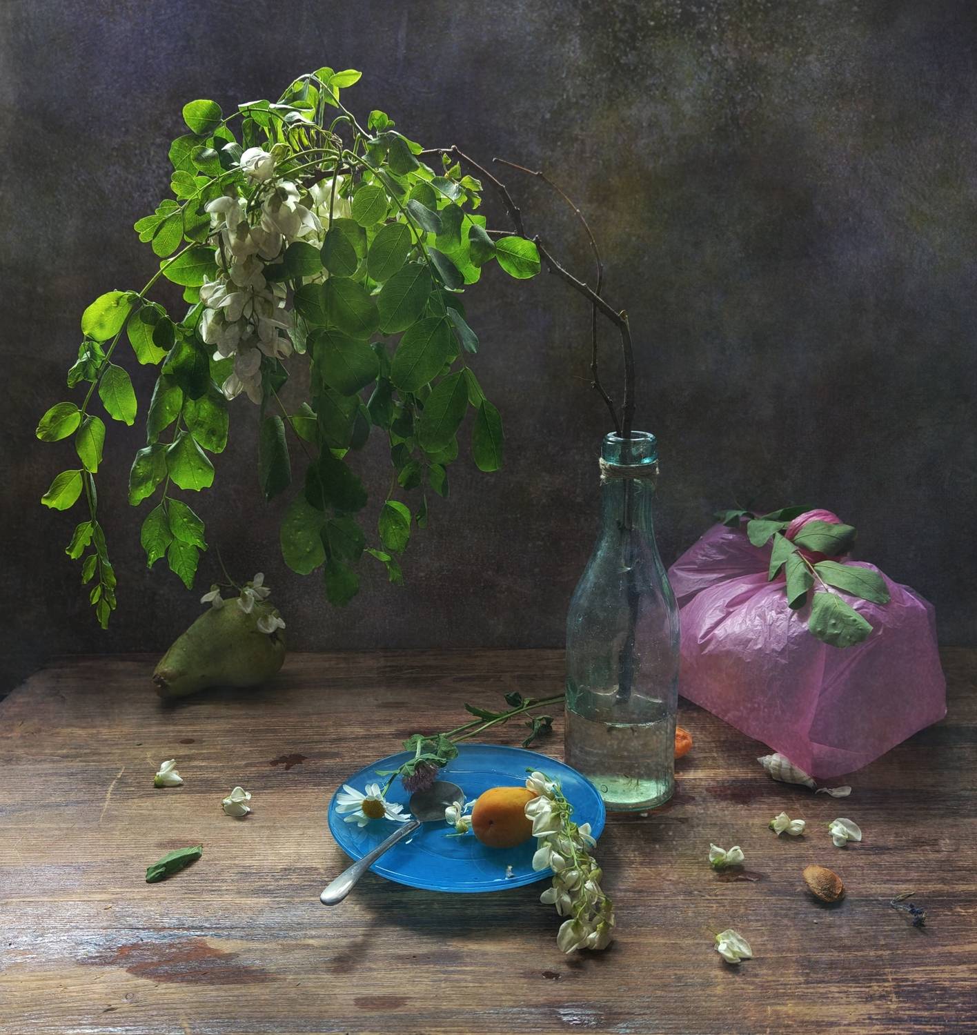 акация, ветка, груша, Ирина Курмалеева