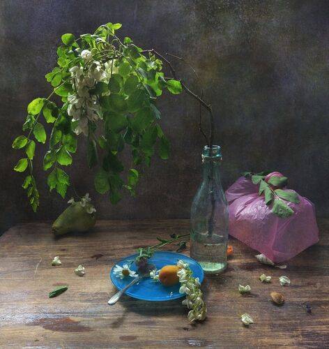 Белой акации..