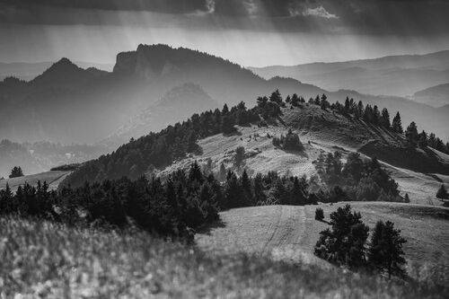 Pieniny