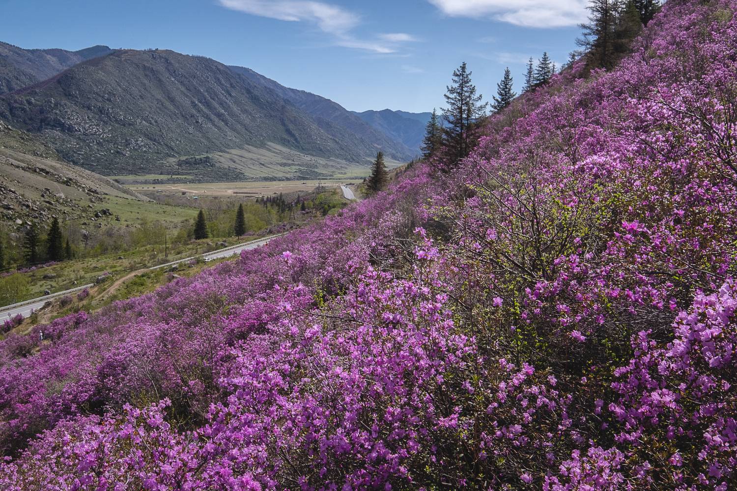 , Коротеев Вадим