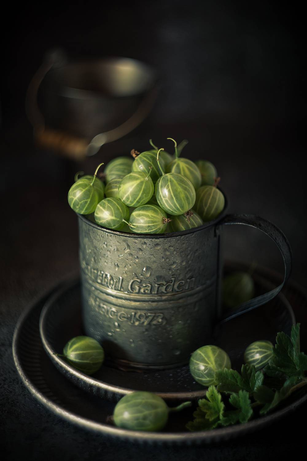 природа, лето, солнце, крыжовник, натюрморт, Александр Азаренков