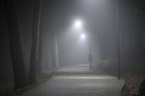 Night Misty Road