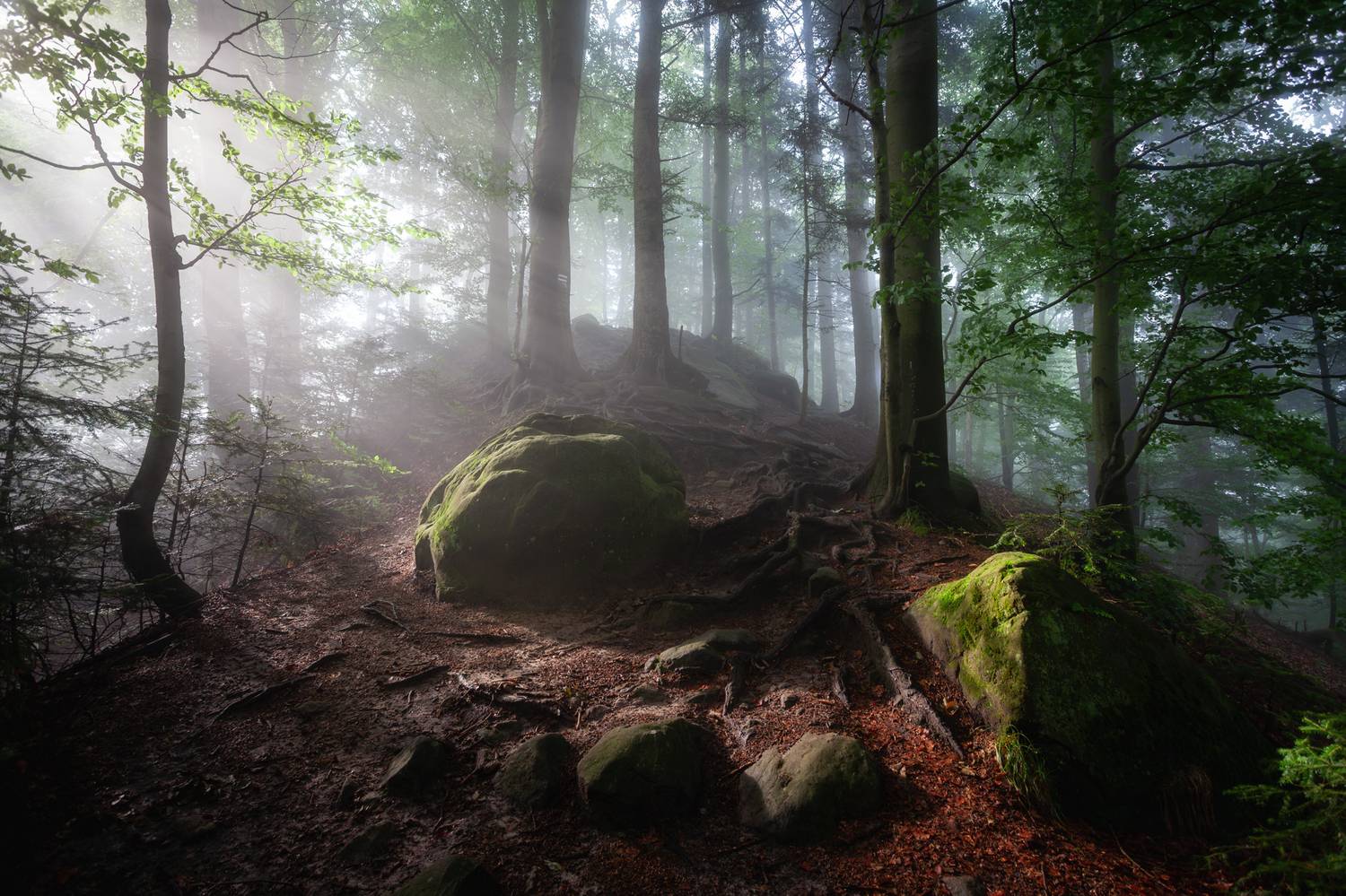 ,  Mirosław Pruchnicki