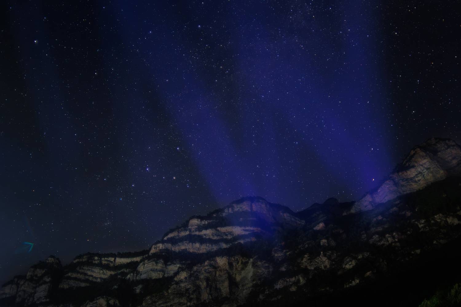 , Светлана Холодняк