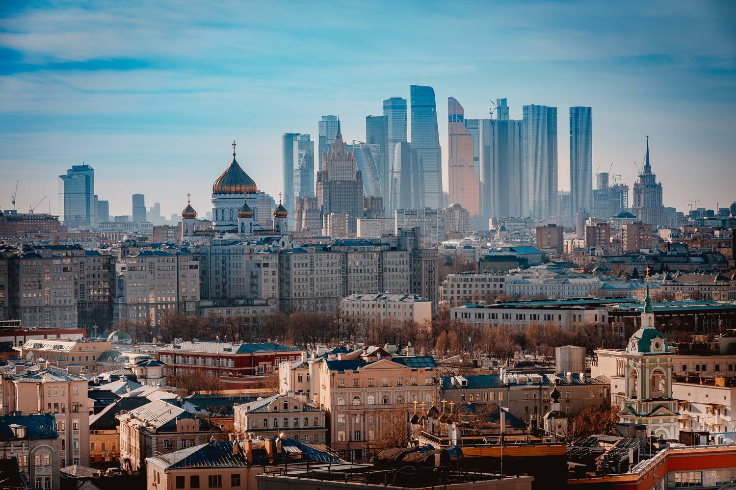 , Трепольский Дмитрий