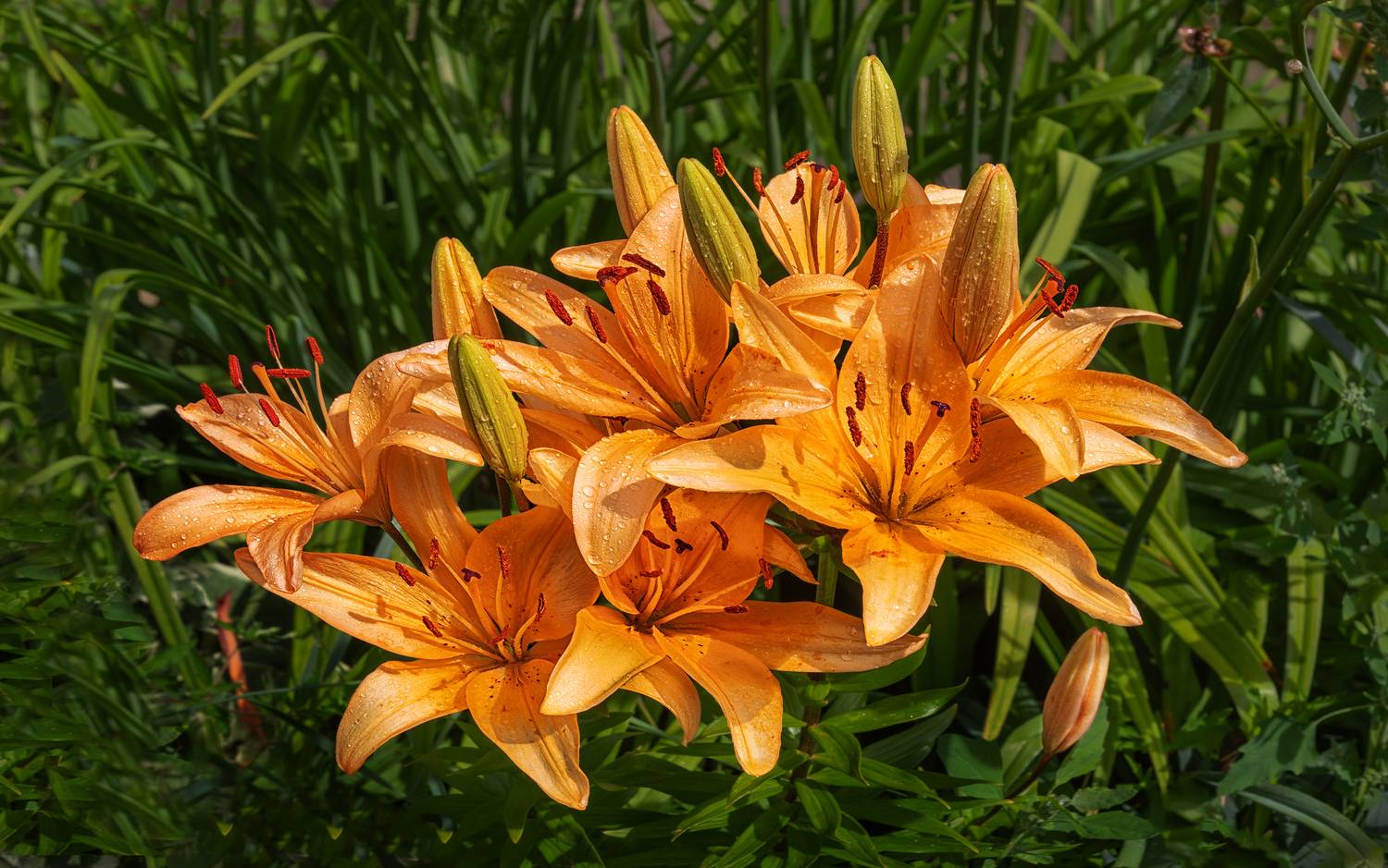 , Ушаков Валерий