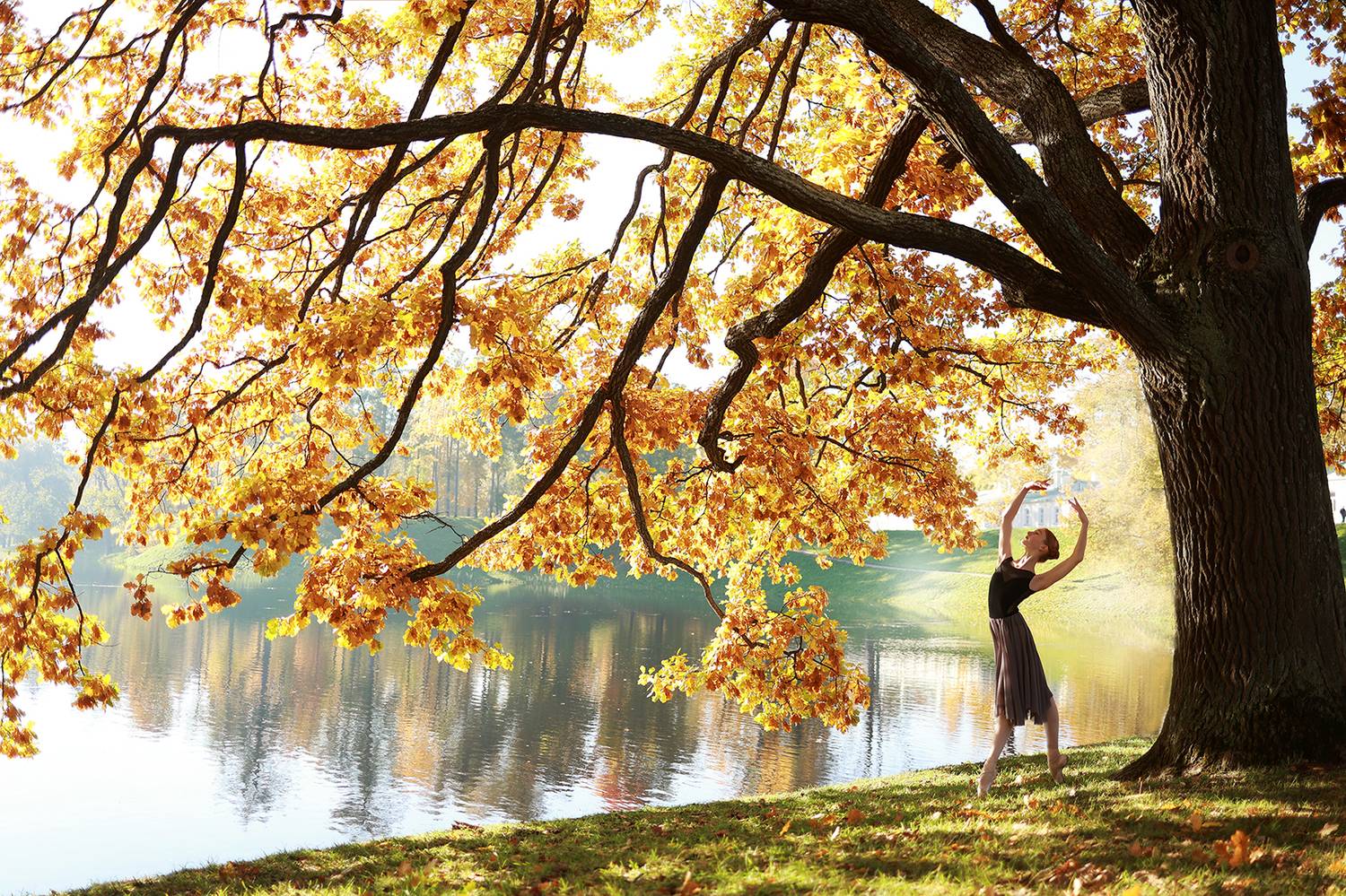 балет, балерина, пуанты, силуэт, фотография, момент, пейзаж, цвет, свет, жанр, Постонен Екатерина