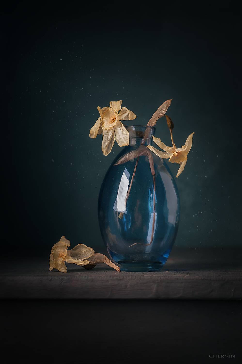 , Чернин Дмитрий