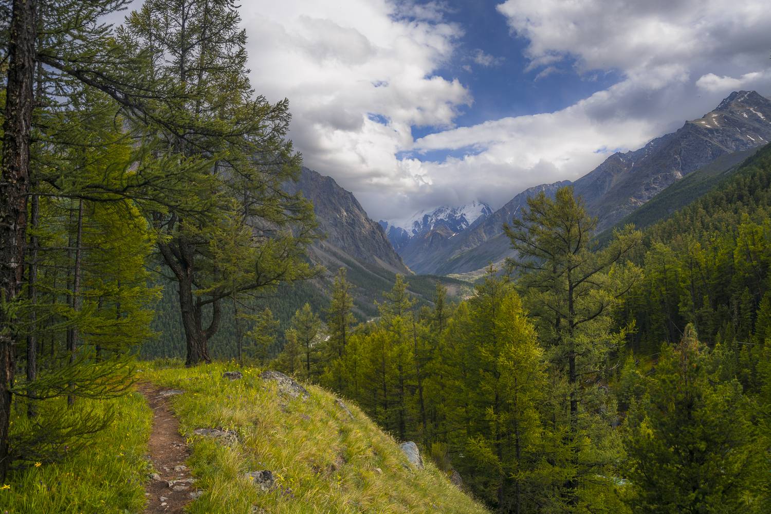 россия, горный алтай, Поляков Андрей