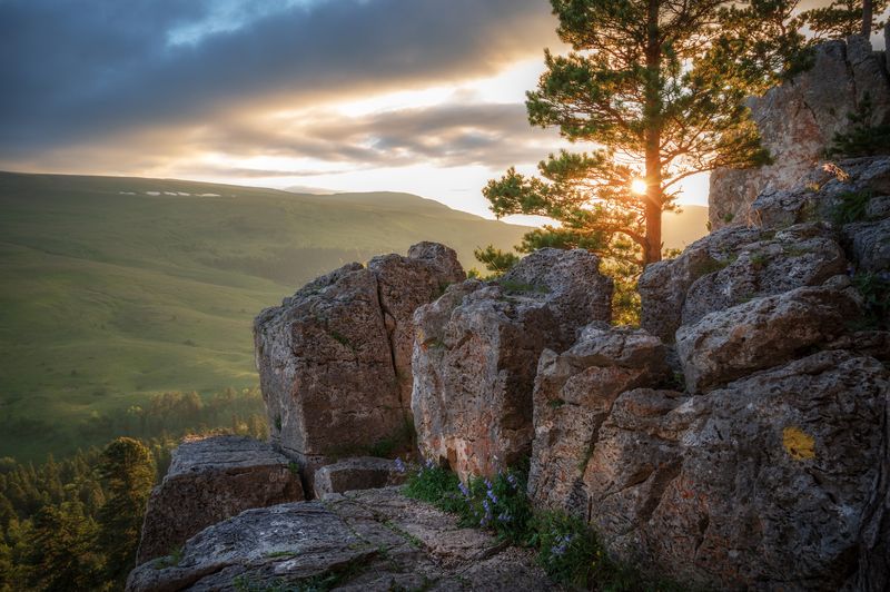 фото превью