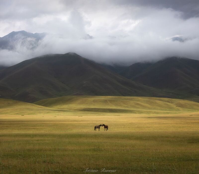 Поцелуй фото превью