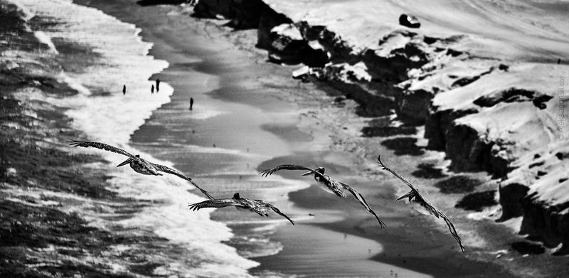 Слои Бытия фото превью